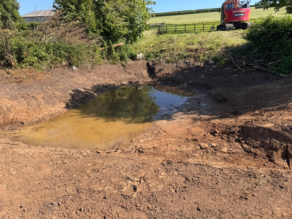 Excavated rural pond with an excavator nearby
