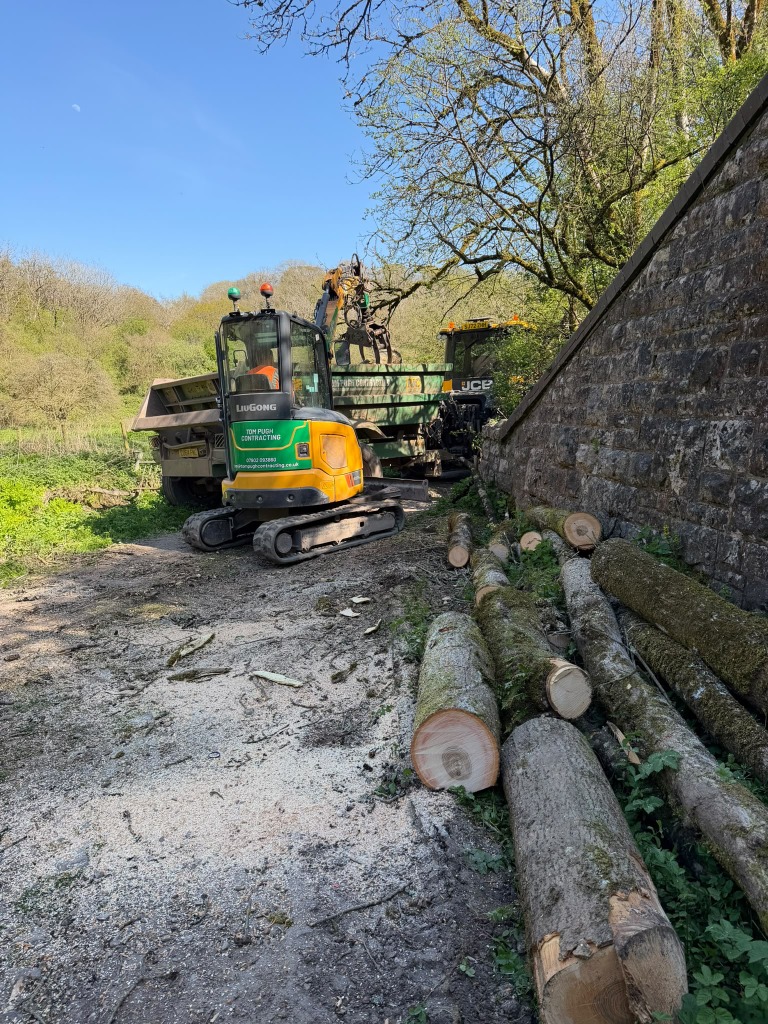 Compact excavator handling timber